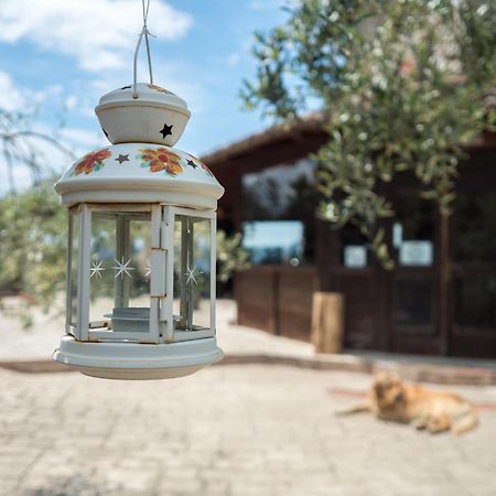 Villa De Luccheri Frasso Telesino 外观 照片