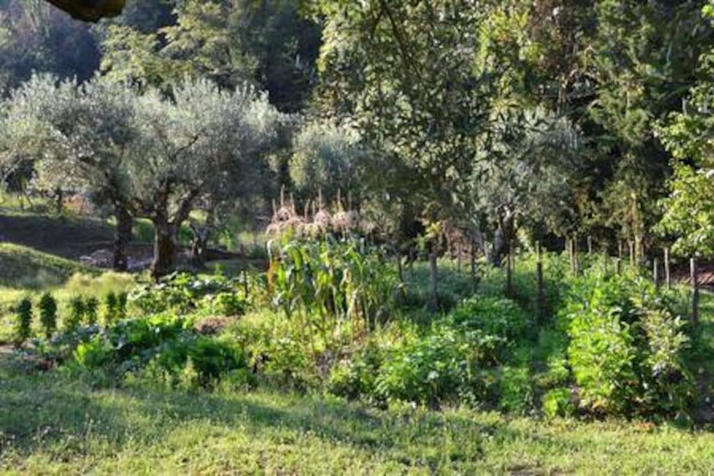 Villa De Luccheri Frasso Telesino 外观 照片