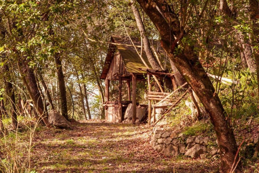 Villa De Luccheri Frasso Telesino 外观 照片