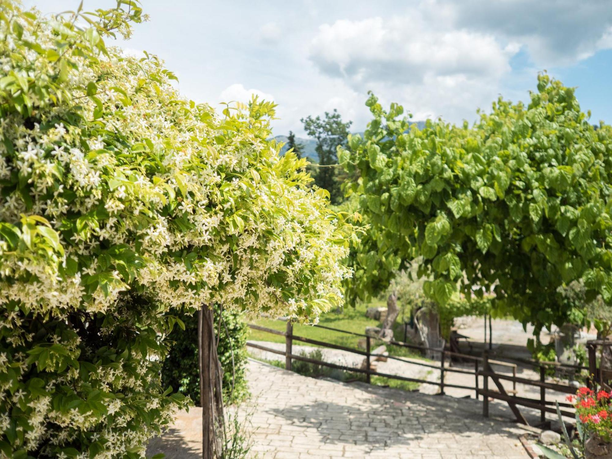 Villa De Luccheri Frasso Telesino 外观 照片