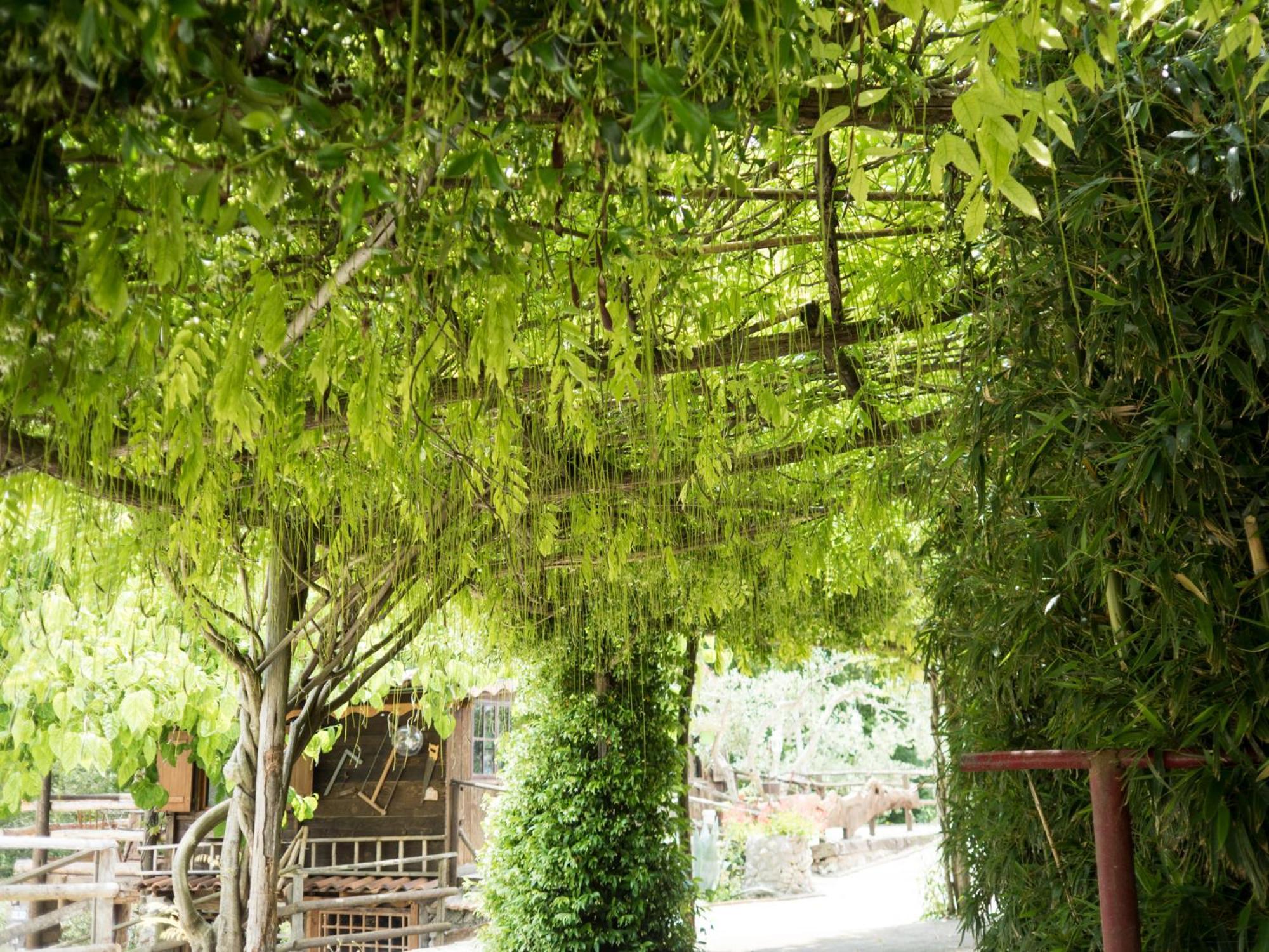 Villa De Luccheri Frasso Telesino 外观 照片