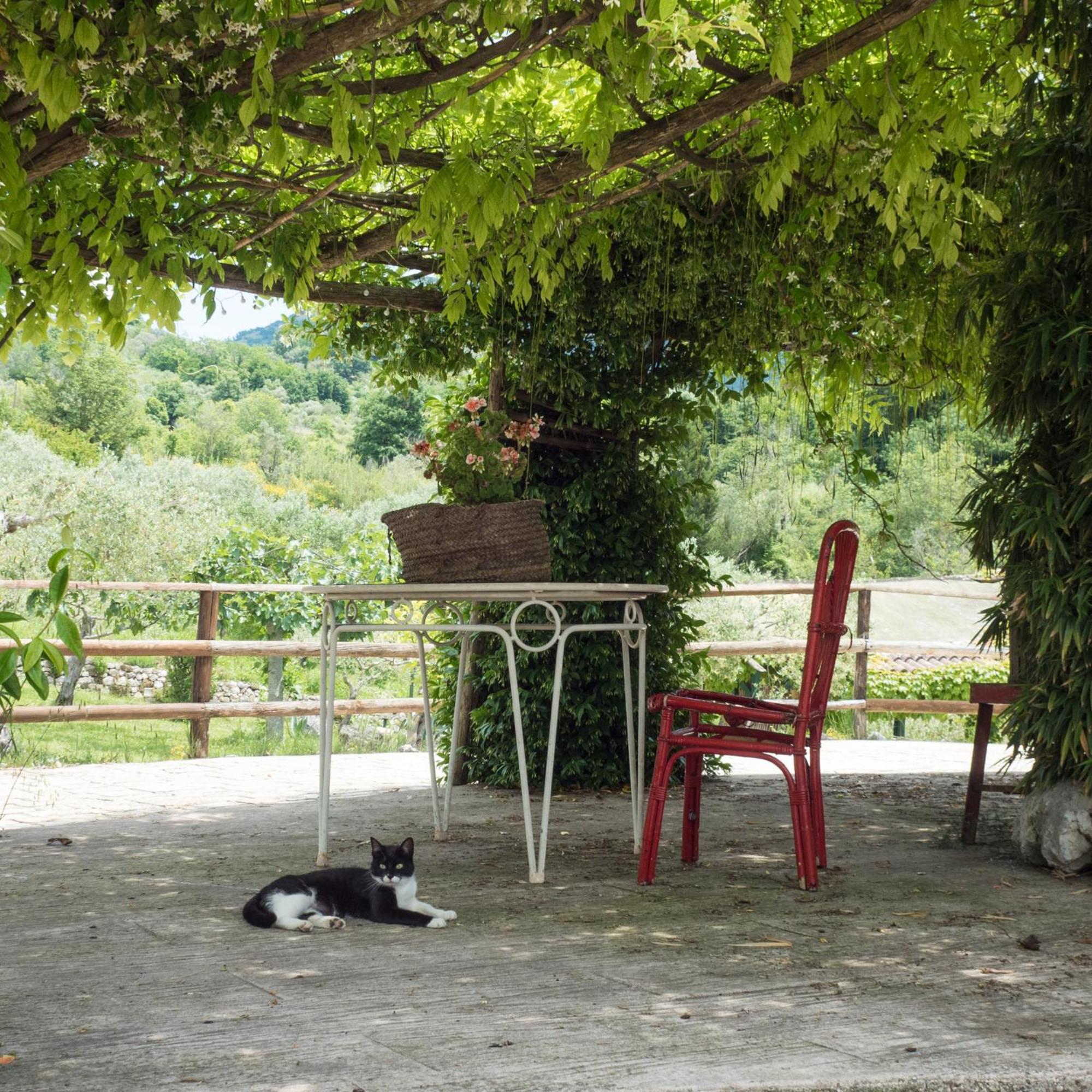 Villa De Luccheri Frasso Telesino 外观 照片