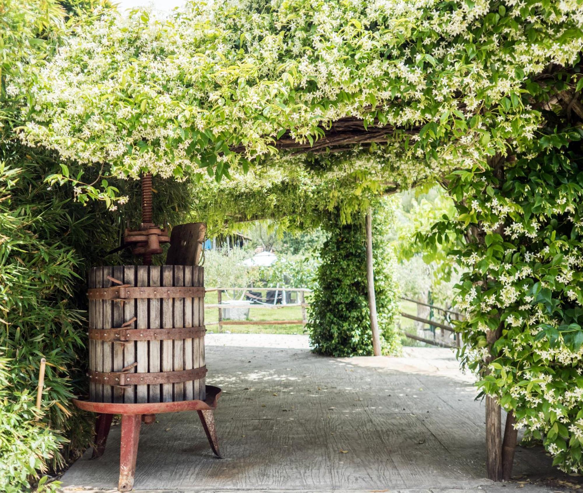 Villa De Luccheri Frasso Telesino 外观 照片